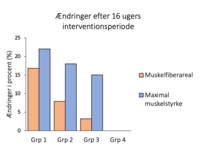Hvilken effekt har kreatin på muskelmasse og muskelstyrke?