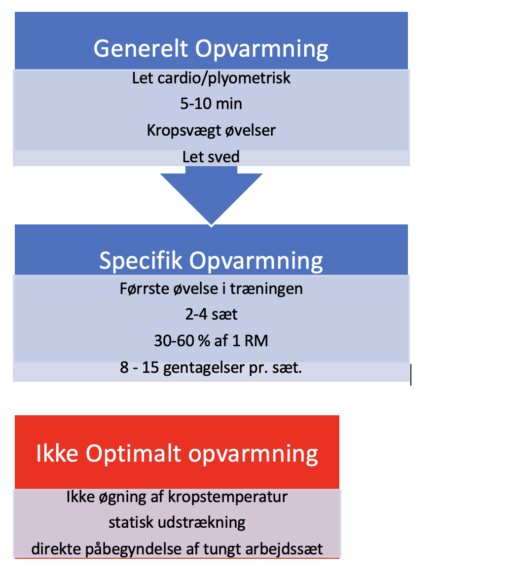 Opvarmning til styrketræning