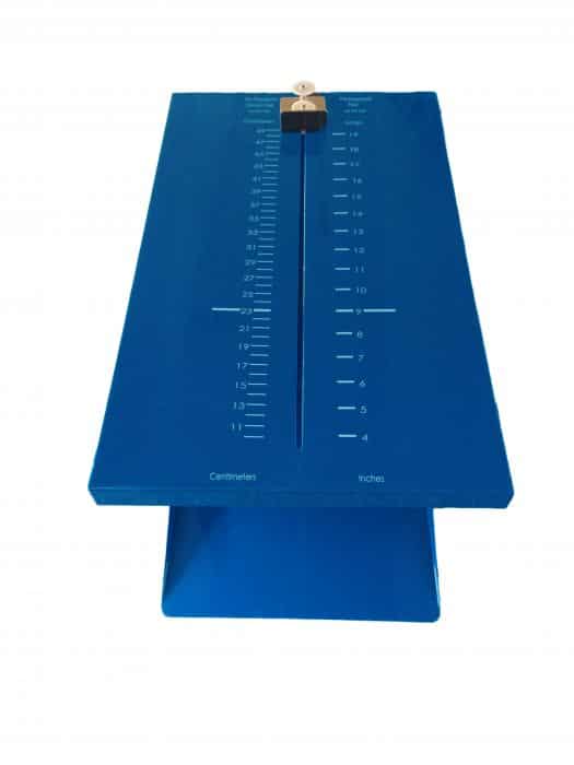blauwding 2 2
